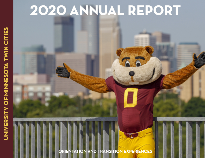 Screenshot of the 2020 Annual Report cover