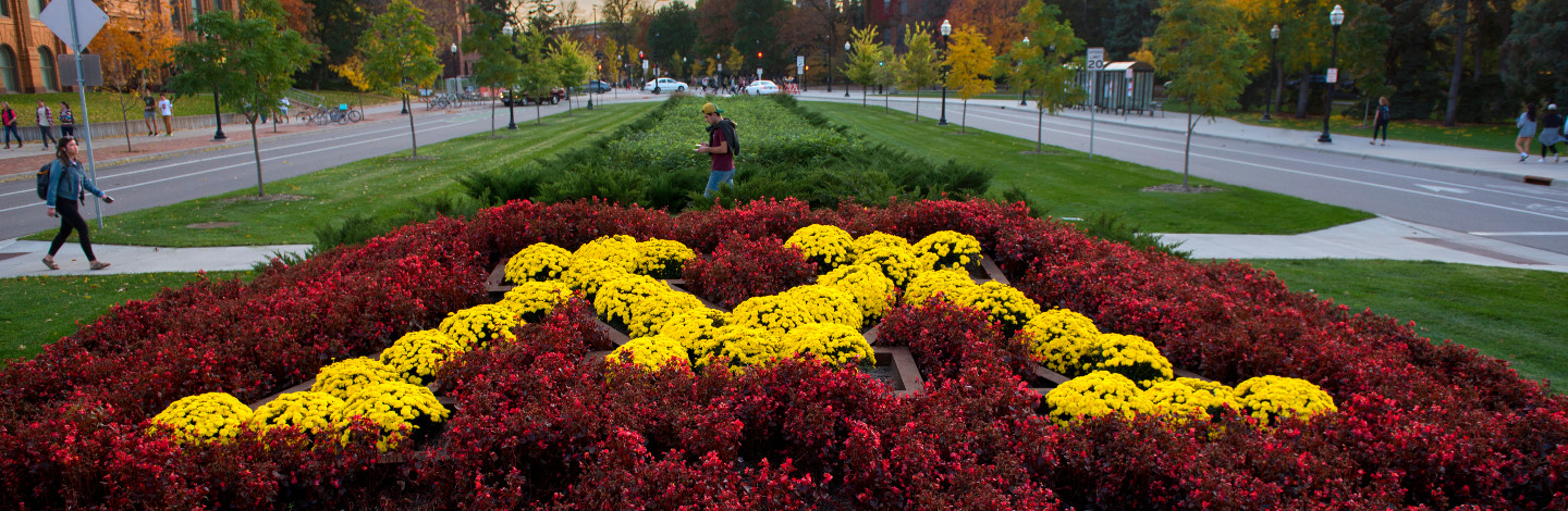 A maroon and gold Block M made of flowers