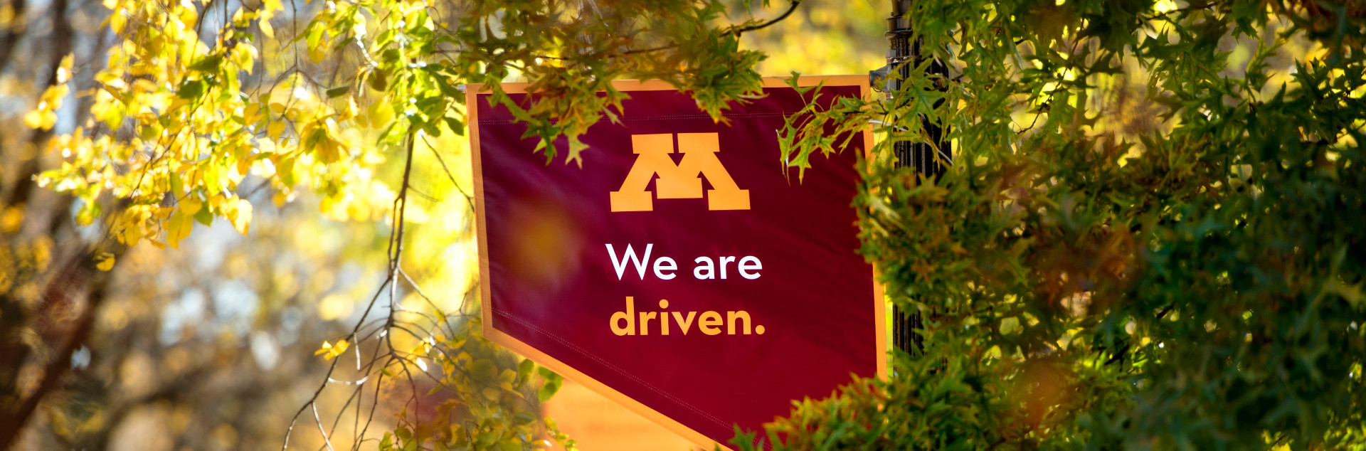 A maroon and gold banner with a Block M and "We Are Driven" hidden amongst the leaves